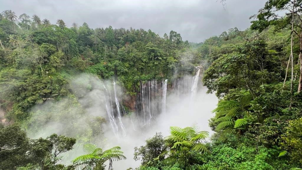 Leaving the misty Mount Bromo behind, a hidden gem awaits within the Bromo-Tengger-Semeru National Park: the breathtaking Madakaripura Waterfall.