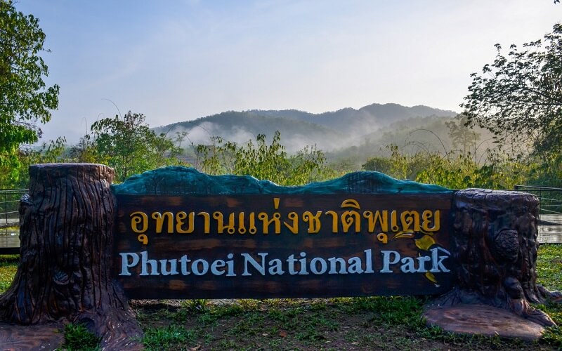 2 Lauda Air Flight 004 crash site phu toei National Park Michael Parrotte AGV Sports Group (2)