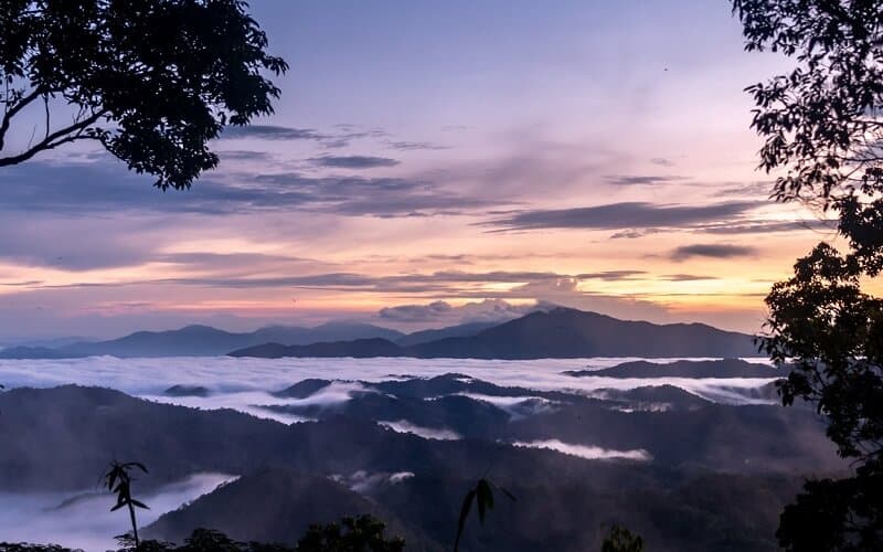 Lauda Air FLight 004 Crash Phu Toei Park Thailand