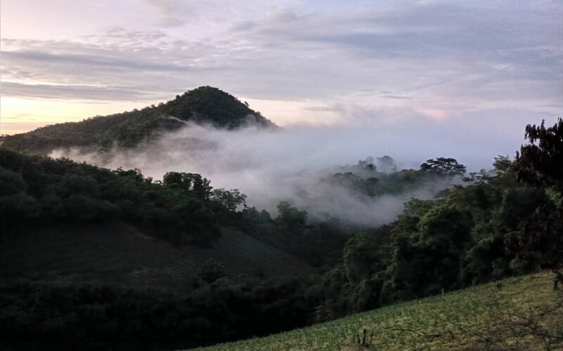 Lauda Air FLight 004 Crash Phu Toei Park Thailand