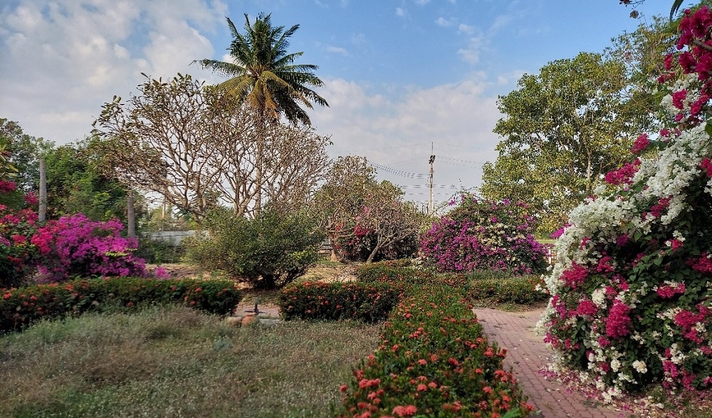 Lauda Air Crash Site Phu Toei National Park Thailand