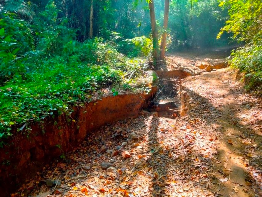 Road to Lauda air flight 4 crash site in phu toei national park