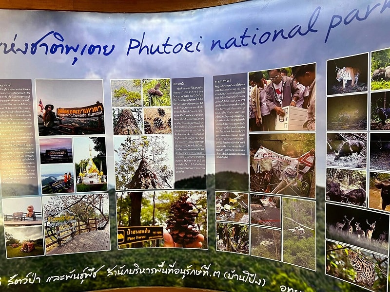 Lauda Air FLight 004 Crash Phu Toei Park Thailand (93)